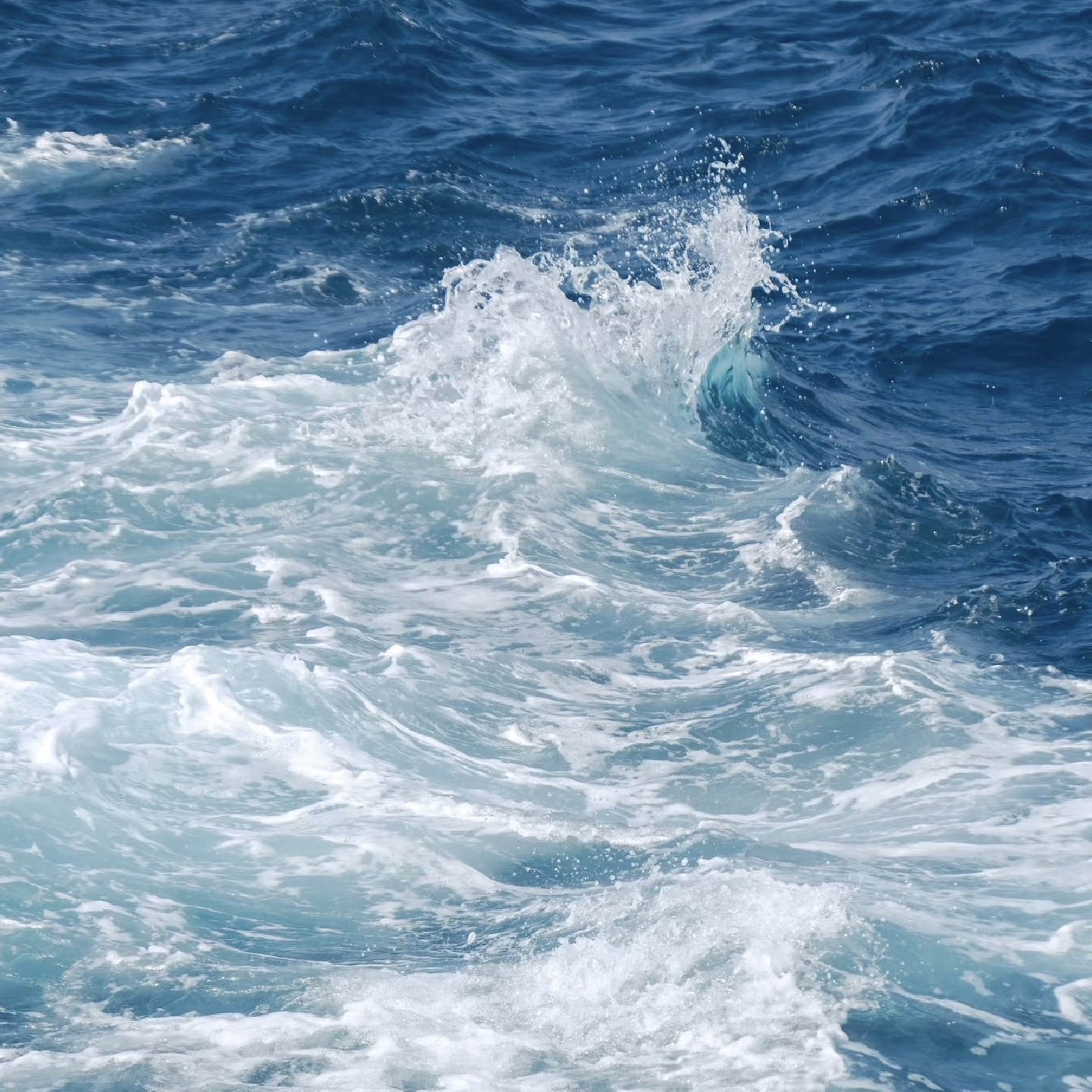 <a href='https://hudak.firebird.sheridanc.on.ca/P5%20mic%20in/' target='_blank'><p>Project Video Link</p></a>