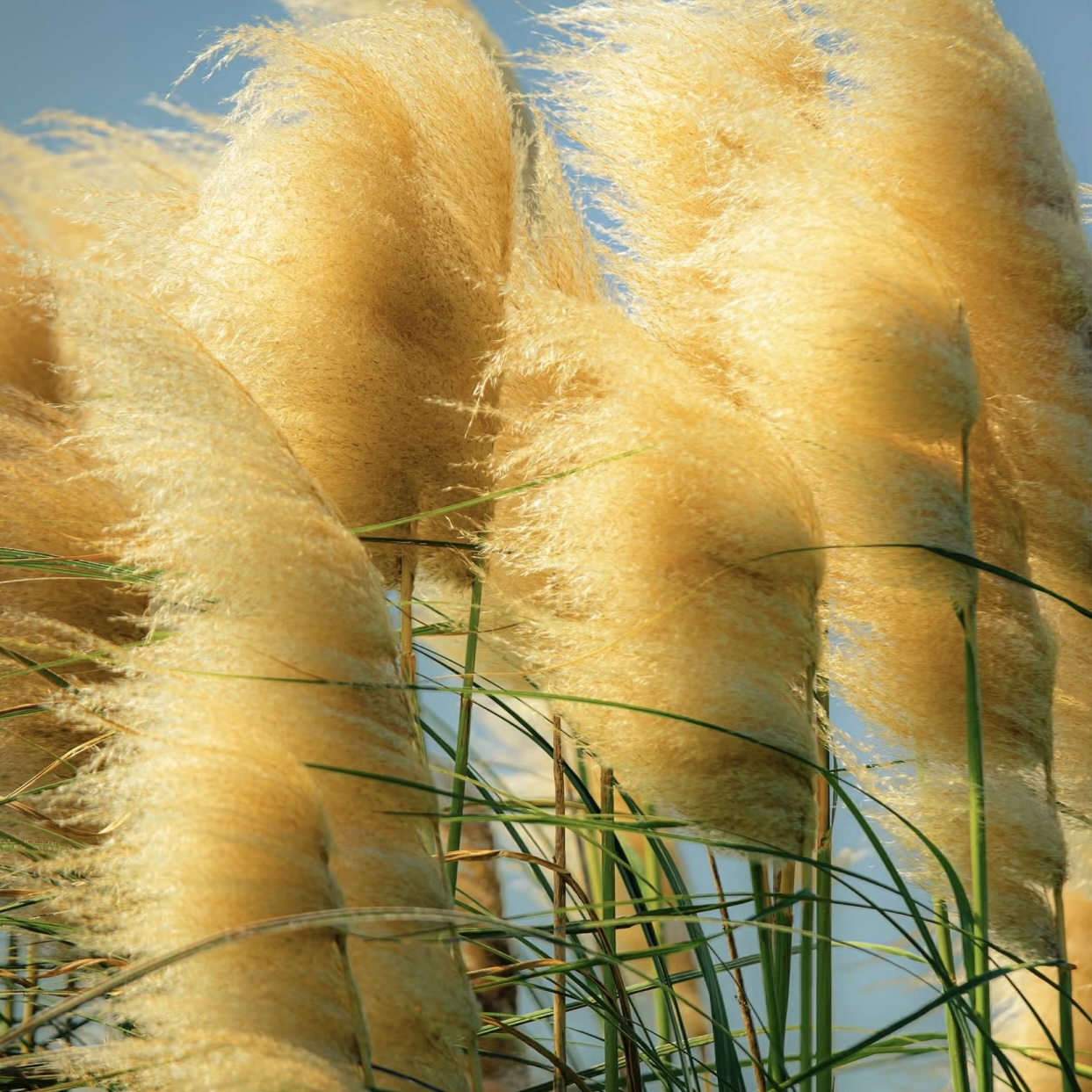 test2Lorem ipsum dolor sit amet, consectetur adipiscing elit